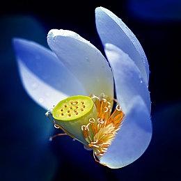 《潜行者2》开发商承认游戏问题多 会尽快更新修复